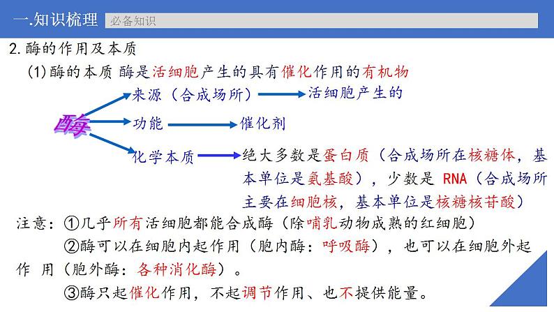 新高考生物一轮复习核心考点练习课件第09讲 酶（含解析）第7页