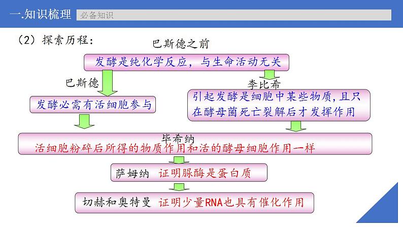 新高考生物一轮复习核心考点练习课件第09讲 酶（含解析）第8页