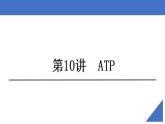 新高考生物一轮复习核心考点练习课件第10讲 ATP（含解析）