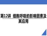 新高考生物一轮复习核心考点练习课件第12讲 细胞呼吸的影响因素及其应用（含解析）