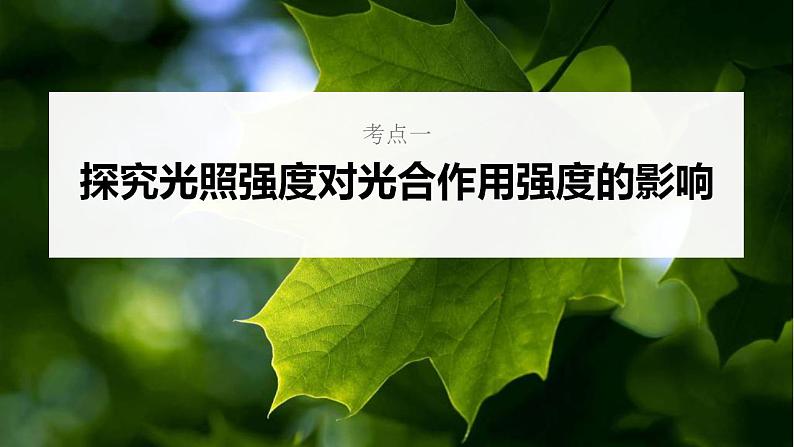 新高考生物一轮复习核心考点练习课件第15讲 光合作用的影响因素及其应用（含解析）第5页