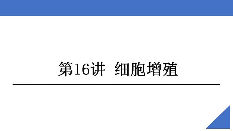 新高考生物一轮复习核心考点练习课件第16讲 细胞增殖（含解析）02