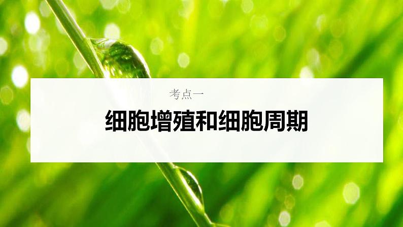 新高考生物一轮复习核心考点练习课件第16讲 细胞增殖（含解析）05