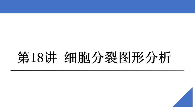 新高考生物一轮复习核心考点练习课件第18讲 细胞分裂图形分析（含解析）第2页