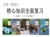 新高考生物一轮复习核心考点练习课件第19讲 细胞分化、衰老、凋亡和癌变（含解析）