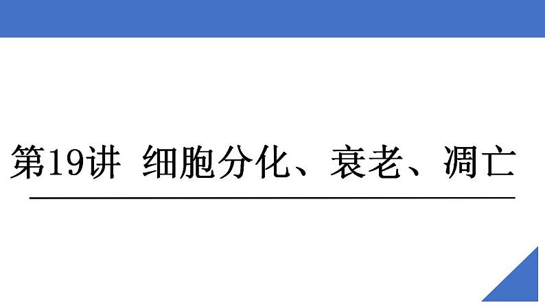 新高考生物一轮复习核心考点练习课件第19讲 细胞分化、衰老、凋亡和癌变（含解析）第2页