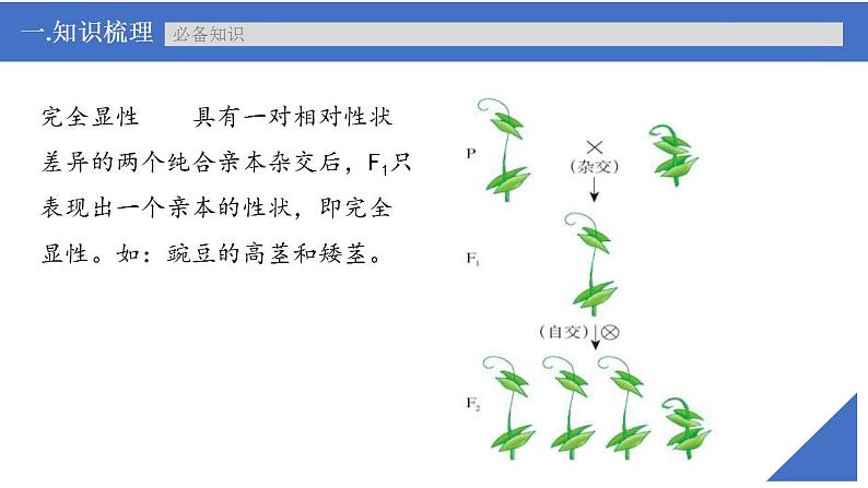 新高考生物一轮复习核心考点练习课件第22讲 特殊的生物学遗传现象（含解析）第4页