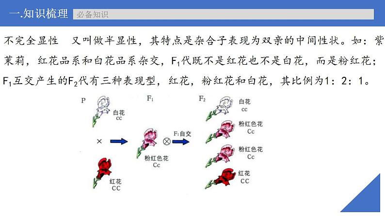 新高考生物一轮复习核心考点练习课件第22讲 特殊的生物学遗传现象（含解析）第6页