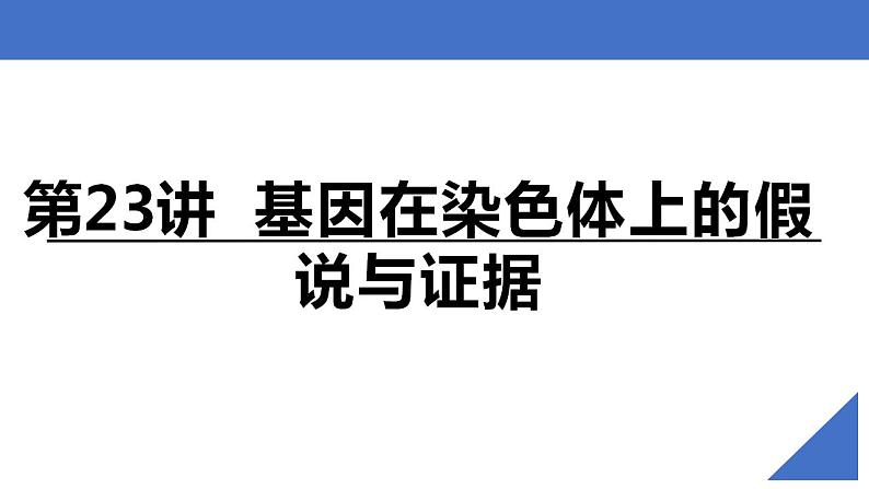 新高考生物一轮复习核心考点练习课件第23讲 基因在染色体上的假说与证据（含解析）第2页