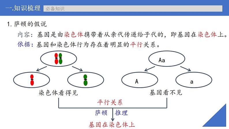 新高考生物一轮复习核心考点练习课件第23讲 基因在染色体上的假说与证据（含解析）第7页