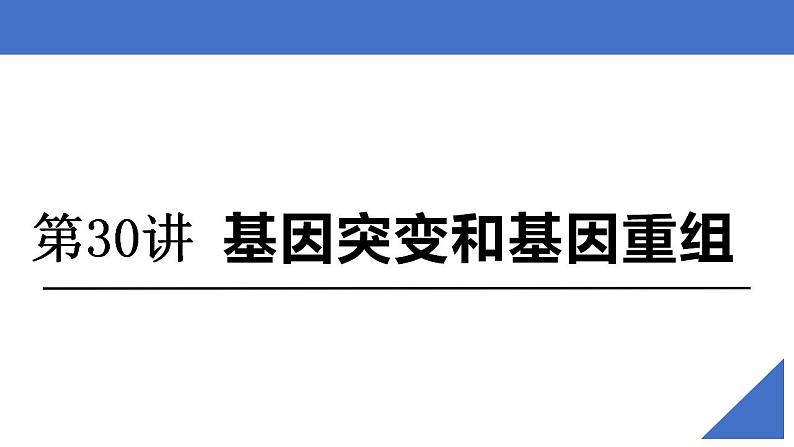 新高考生物一轮复习核心考点练习课件第30讲 基因突变和基因重组（含解析）02