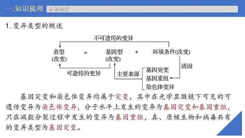 新高考生物一轮复习核心考点练习课件第30讲 基因突变和基因重组（含解析）07