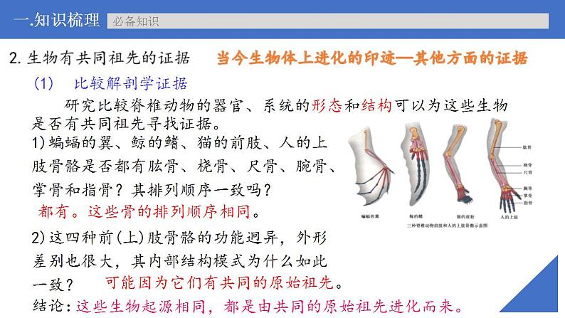 新高考生物一轮复习核心考点练习课件第33讲 生物的进化（含解析）08