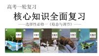 新高考生物一轮复习核心考点练习课件第35讲 神经调节的结构基础及基本方式（含解析）