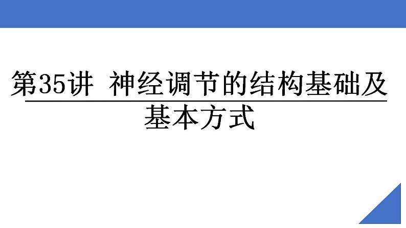 新高考生物一轮复习核心考点练习课件第35讲 神经调节的结构基础及基本方式（含解析）02