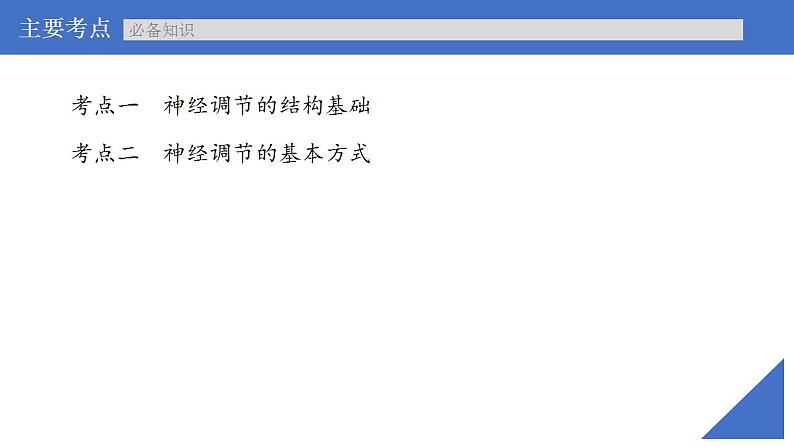 新高考生物一轮复习核心考点练习课件第35讲 神经调节的结构基础及基本方式（含解析）04