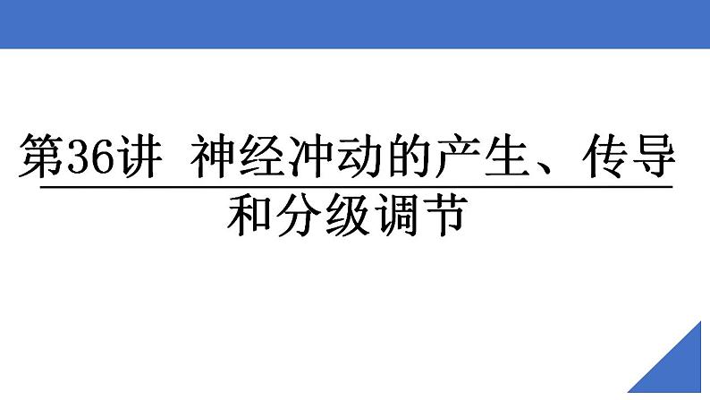 新高考生物一轮复习核心考点练习课件第36讲神经冲动的产生、传导和分级调节（含解析）第2页