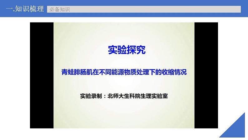 新高考生物一轮复习核心考点练习课件第36讲神经冲动的产生、传导和分级调节（含解析）第7页