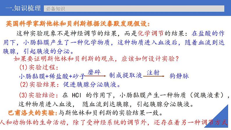 新高考生物一轮复习核心考点练习课件第37讲 激素与内分泌系统、激素调节的过程（含解析）07