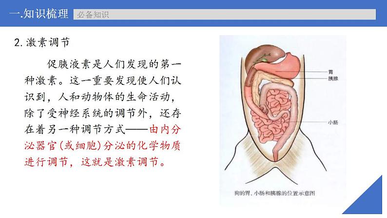 新高考生物一轮复习核心考点练习课件第37讲 激素与内分泌系统、激素调节的过程（含解析）08