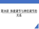 新高考生物一轮复习核心考点练习课件第38讲 体液调节与神经调节的关系（含解析）