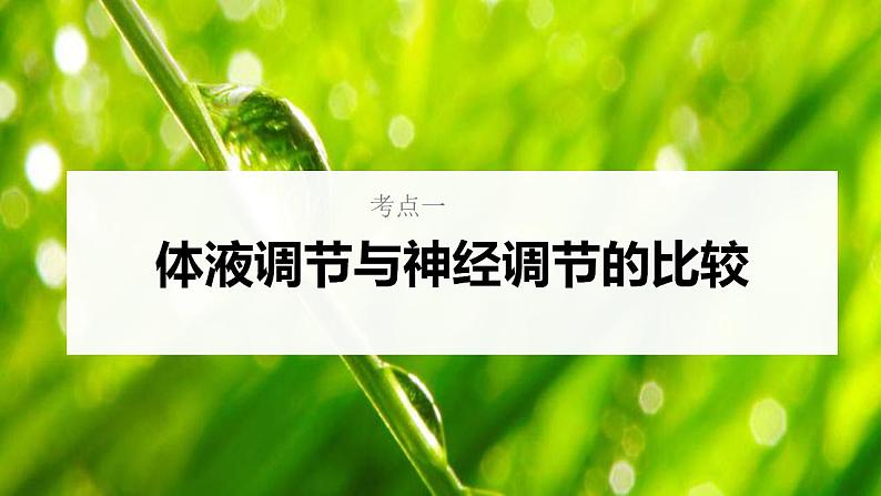 新高考生物一轮复习核心考点练习课件第38讲 体液调节与神经调节的关系（含解析）第5页