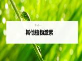 新高考生物一轮复习核心考点练习课件第42讲+其他植物激素植物生长调节剂的应用及环境因素参与调节植物的生命活动（含解析）