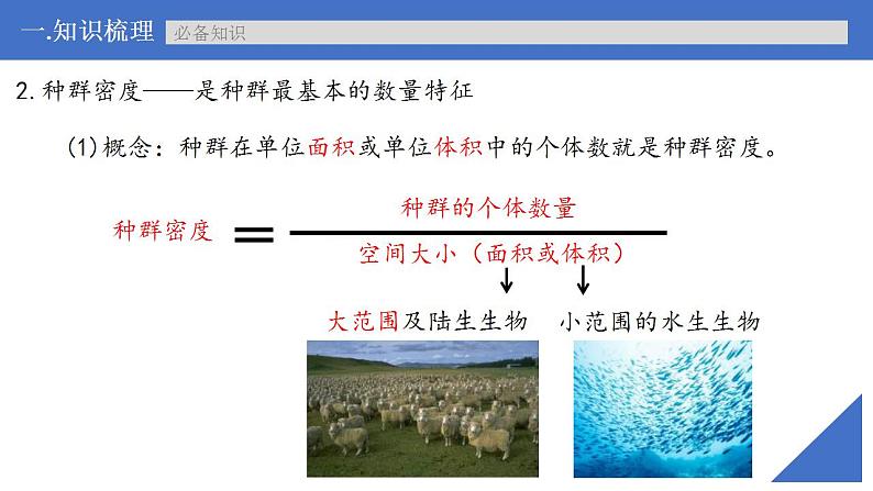 新高考生物一轮复习核心考点练习课件第43讲种群的特征（含解析）第7页