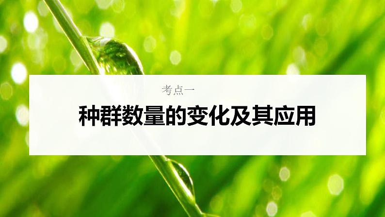 新高考生物一轮复习核心考点练习课件第44讲+种群数量的变化及其影响因素（含解析）05