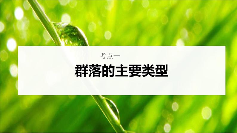 新高考生物一轮复习核心考点练习课件第46讲+群落的主要类型及演替（含解析）05