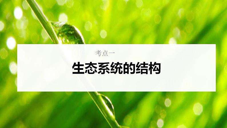 新高考生物一轮复习核心考点练习课件第47讲生态系统的结构（含解析）第5页