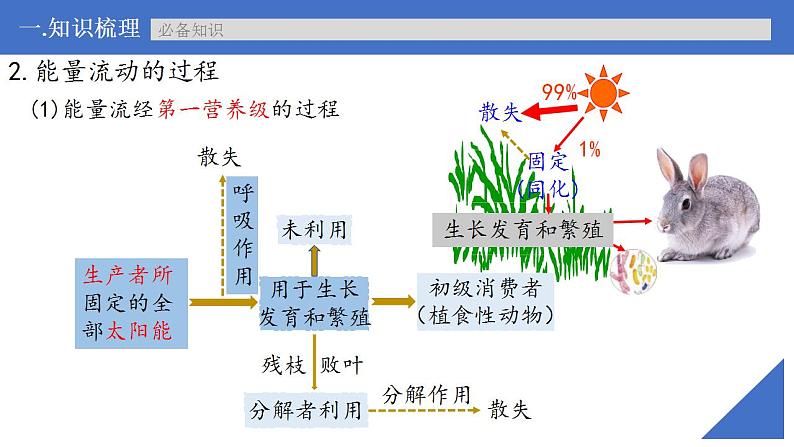 新高考生物一轮复习核心考点练习课件第48讲生态系统的能量流动（含解析）第6页