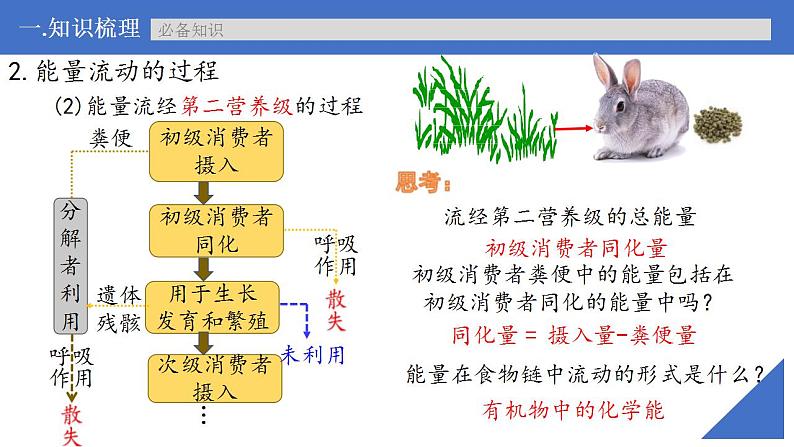 新高考生物一轮复习核心考点练习课件第48讲生态系统的能量流动（含解析）第7页