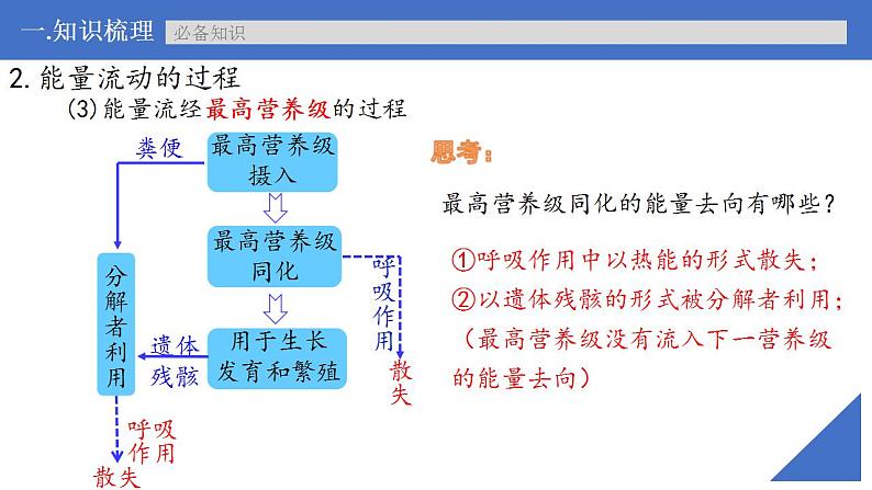 新高考生物一轮复习核心考点练习课件第48讲生态系统的能量流动（含解析）第8页