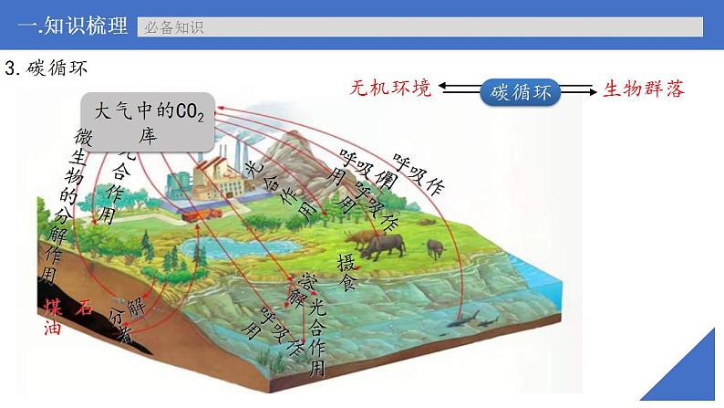 新高考生物一轮复习核心考点练习课件第49讲生态系统的物质循环和生态系统的信息传递（含解析）第7页