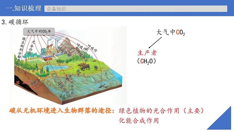 新高考生物一轮复习核心考点练习课件第49讲生态系统的物质循环和生态系统的信息传递（含解析）第8页