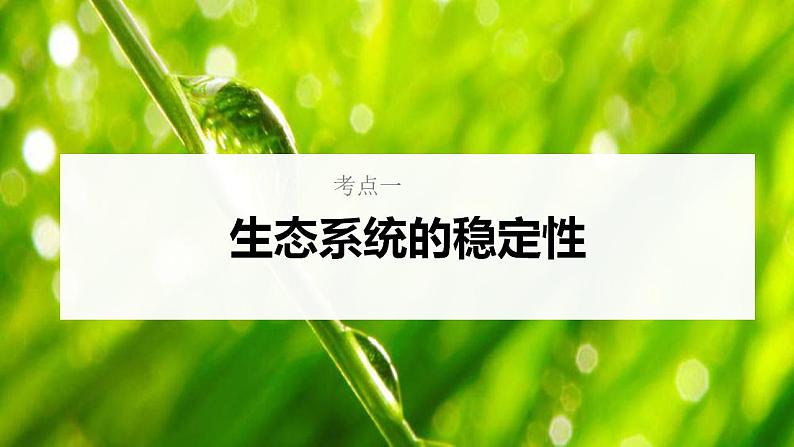 新高考生物一轮复习核心考点练习课件第50讲生态系统的稳定性（含解析）第5页