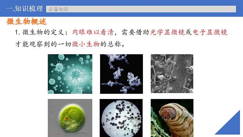 新高考生物一轮复习核心考点练习课件第53讲微生物的培养技术及应用（含解析）第6页