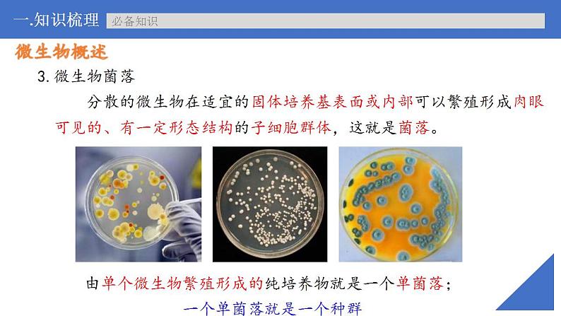 新高考生物一轮复习核心考点练习课件第53讲微生物的培养技术及应用（含解析）第8页