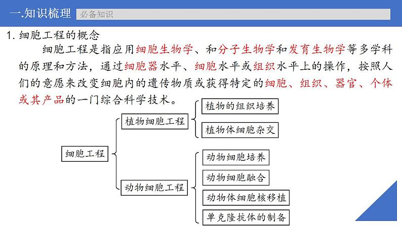 新高考生物一轮复习核心考点练习课件第54讲植物细胞工程（含解析）第6页