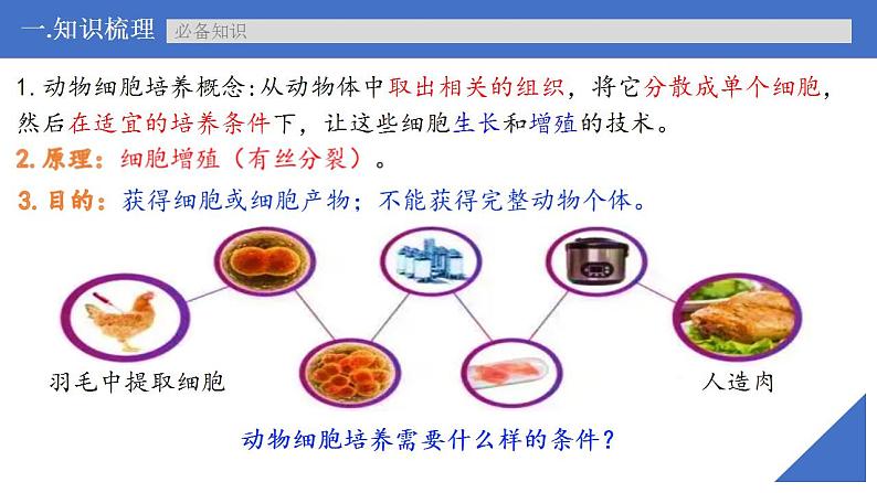 新高考生物一轮复习核心考点练习课件第55讲动物细胞工程（含解析）第7页