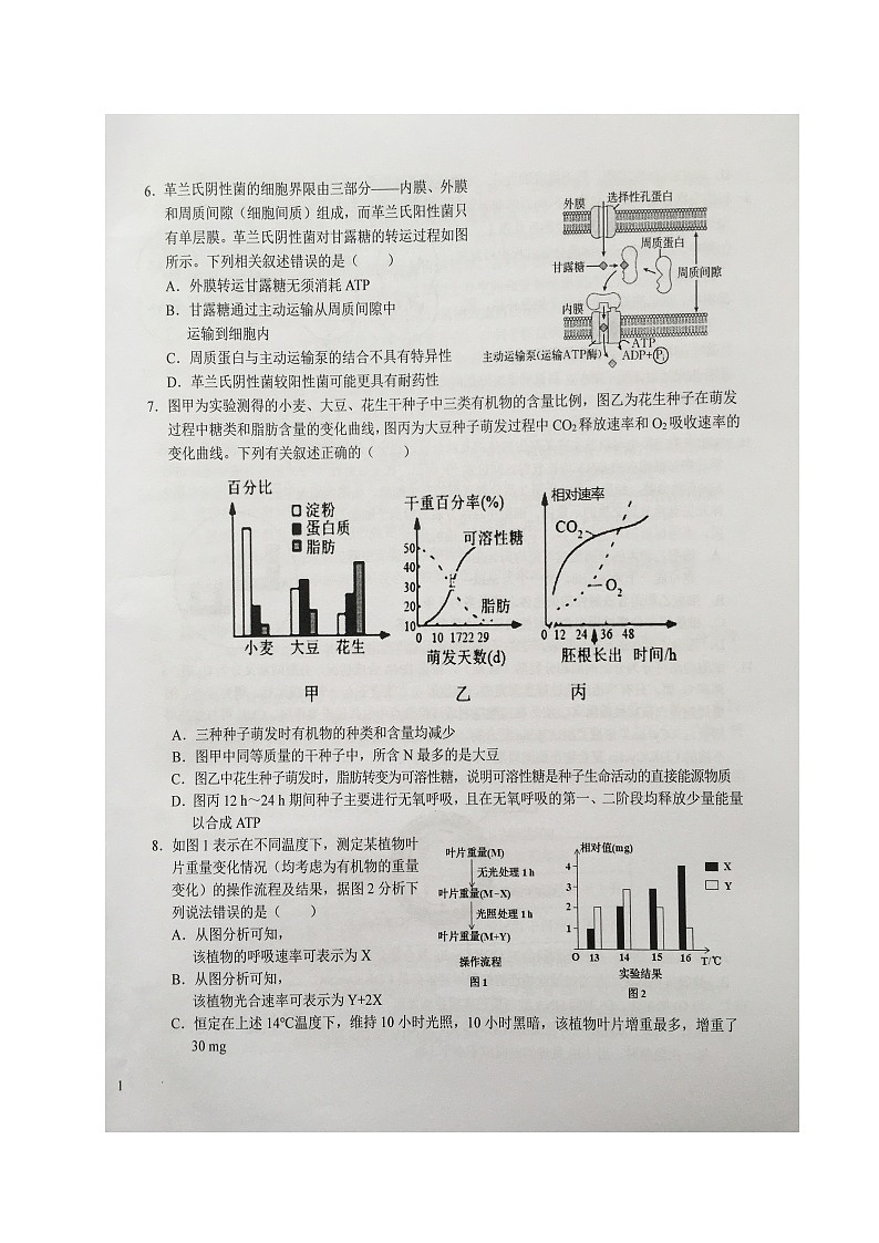 安徽省六安第一中学2023-2024学年高三上学期第二次月考生物试题及答案第2页