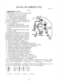 北京市潞河中学2023-2024 学生高三上学期10月月考生物试题（无答案）