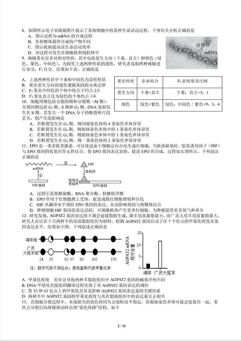 北京市潞河中学2023-2024 学生高三上学期10月月考生物试题（无答案）第2页