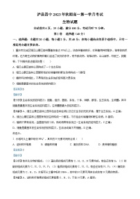 四川省泸县第四中学2023-2024学年高一生物上学期10月月考试题（Word版附解析）