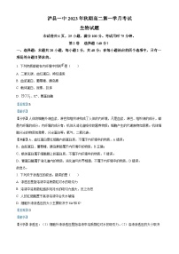 四川省泸县第一中学2023-2024学年高二生物上学期10月月考试题（Word版附解析）