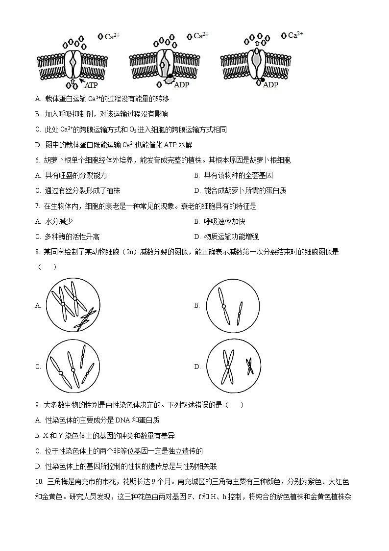 四川省南充高级中学2023-2024学年高二生物上学期10月月考试题（Word版附答案）第2页