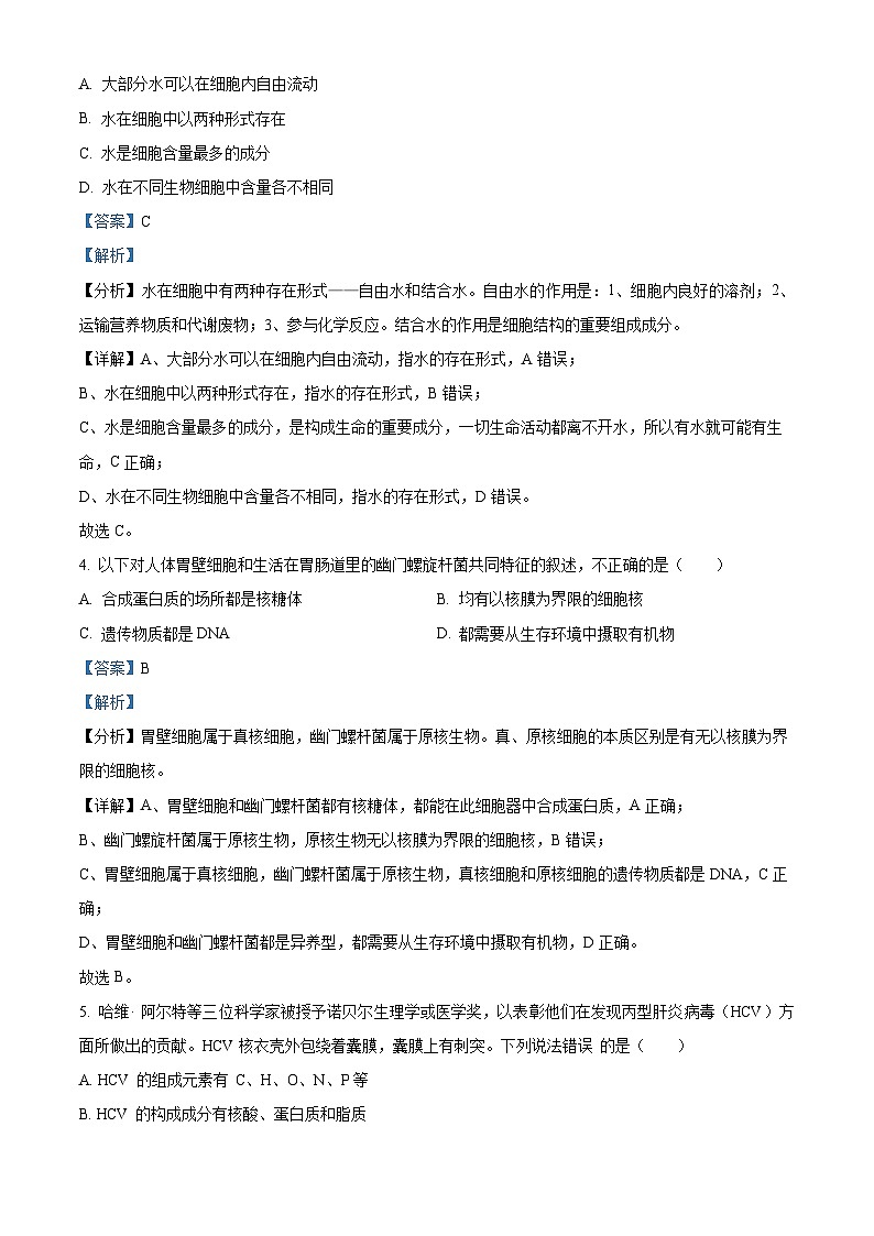四川省宜宾市第四中学2023-2024学年高一生物上学期10月月考试题（Word版附解析）02