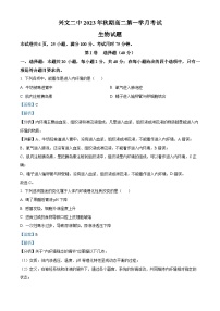 四川省宜宾市兴文第二中学2023-2024学年高二生物上学期10月月考试题（Word版附解析）