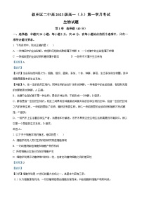 四川省宜宾市叙州区第二中学2023-2024学年高一生物上学期10月月考试题（Word版附解析）